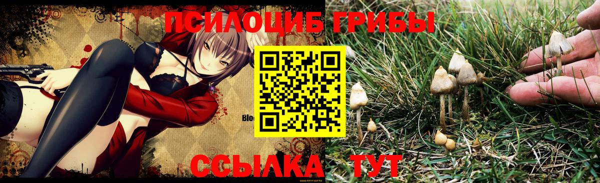 Галлюциногенные грибы мицелий  Вход с VPN  Борзя 