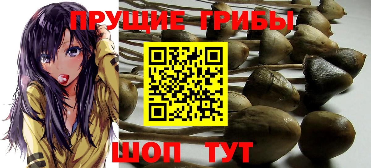 Псилоцибиновые грибы ЛСД Борзя