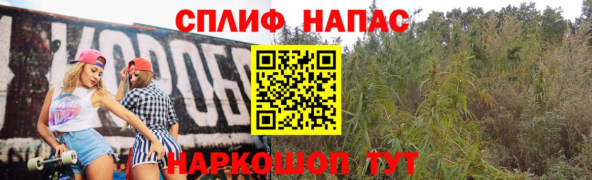 Шишки марихуана VHQ  Вход с VPN  Борзя  Бошки Шишки VHQ 